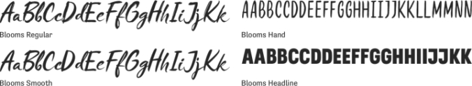 Blooms Font Preview