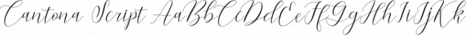 Cantona Script Font Preview