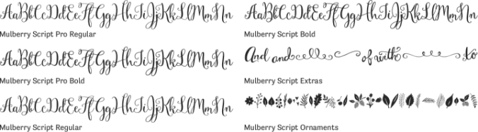 Mulberry Script Font Preview