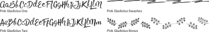 Pink Gladiolus Font Preview