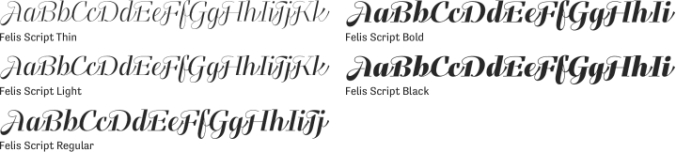 Felis Script Font Preview