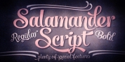 Salamander Script font download