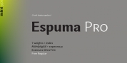 Espuma Pro font download