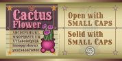 Cactus Flower SG font download