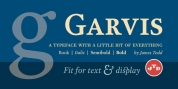 Garvis Pro font download