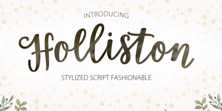 Holliston Script font preview