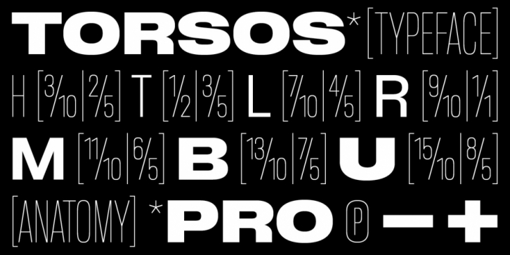 BB Torsos Pro font preview