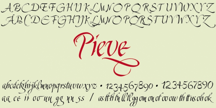 Pieve font preview