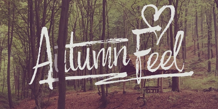 Autumn Feel font preview