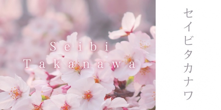 Seibi Takanawa font preview
