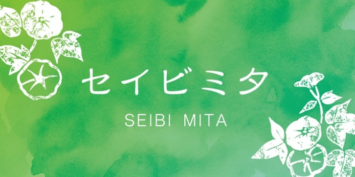 Seibi Mita font preview