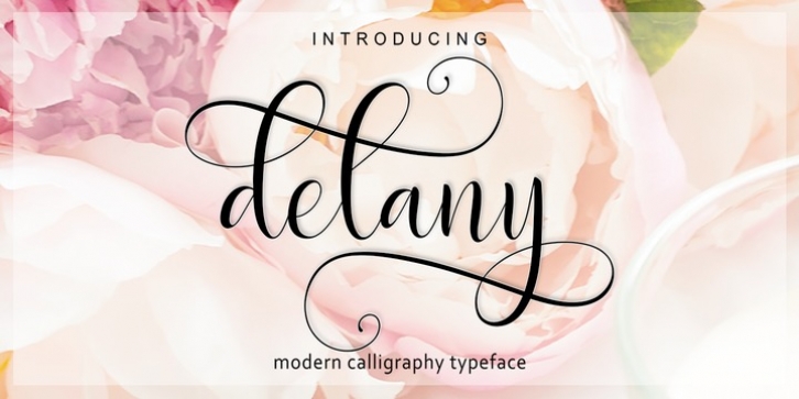 Delany Script font preview