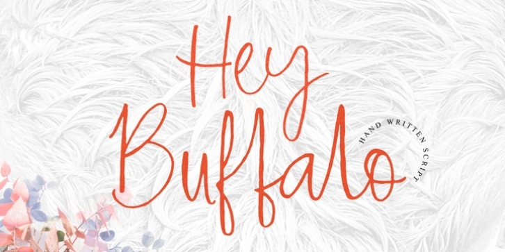 Hey Buffalo font preview