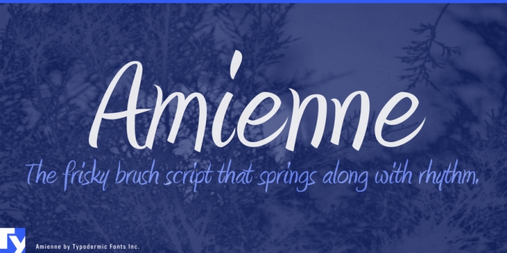 Amienne font preview