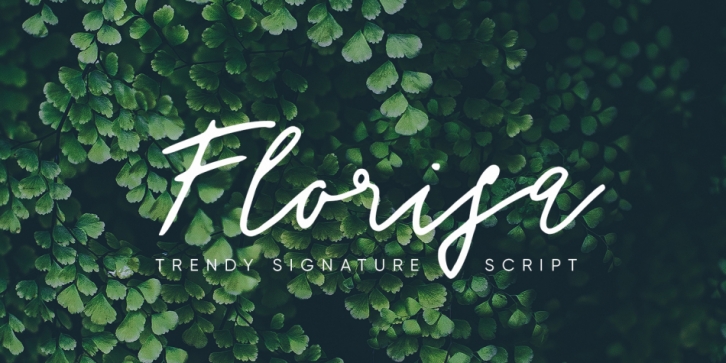Florisa Script font preview