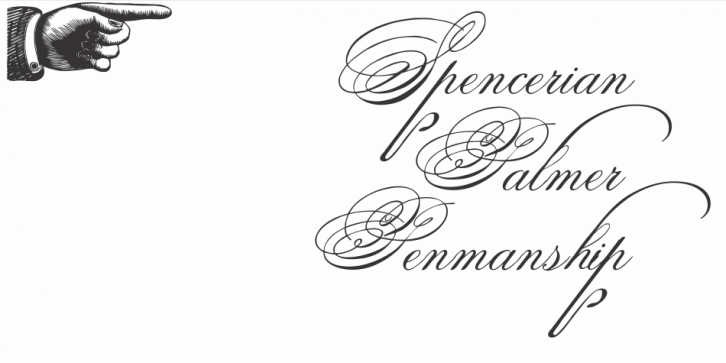 Spencerian Palmer Penmanship font preview