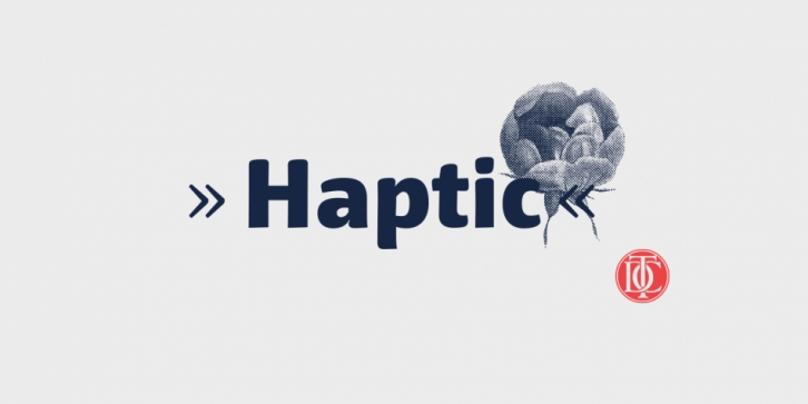 Haptic Basic font preview