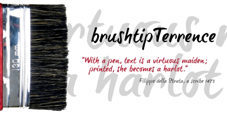 brush-tip Terrence font preview
