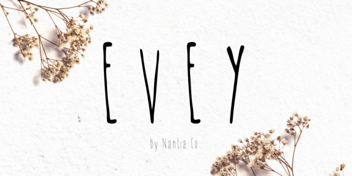 Evey font preview