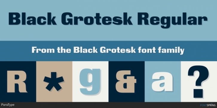 Black Grotesk font preview