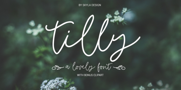 Tilly font preview