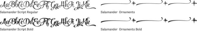 Salamander Script Font Preview