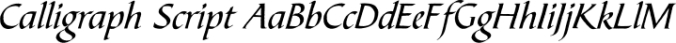 Calligraph Script Font Preview