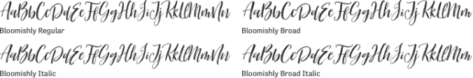 Bloomishly Font Preview