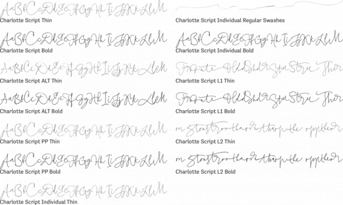 Charlotte Script Font Preview