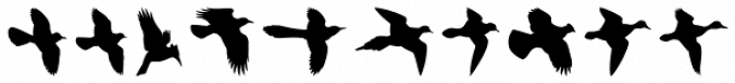 Birds Flying Font Preview