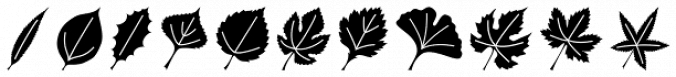 Leaf Assortment Font Preview