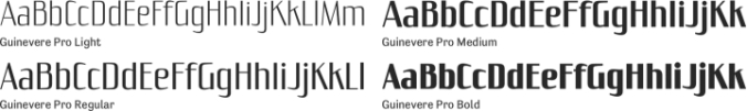 Guinevere Pro font download