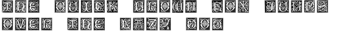 XVI Century Shaw Woodcuts Font Preview