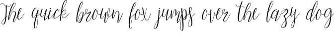 The Summer Days Script Font Preview