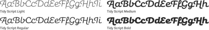 Tidy Script Font Preview