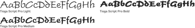 Tioga Script Pro Font Preview