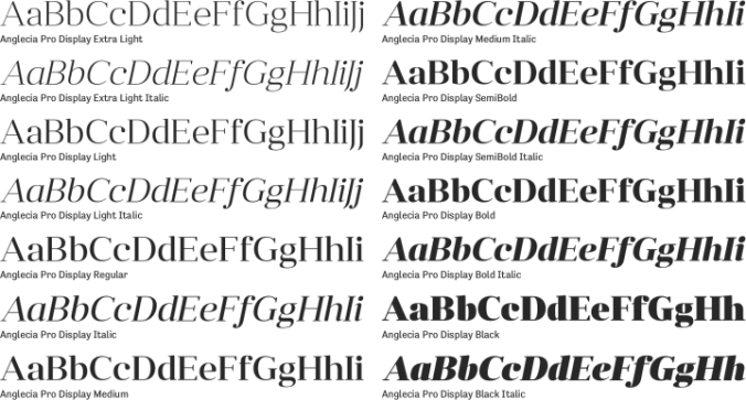 Anglecia Pro Display font download