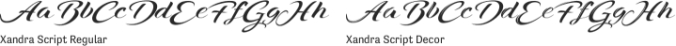 Xandra Script Font Preview
