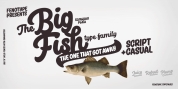 Big Fish font download