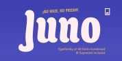 Juno font download