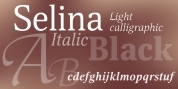 Selina font download