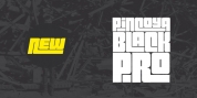 Pincoya Black Pro font download