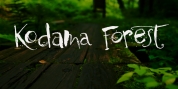 Kodama Forest font download