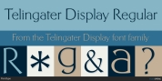 Telingater Display font download