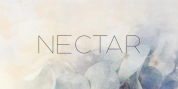 Nectar font download