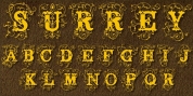 Surrey font download