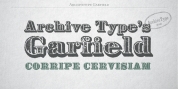 Archive Garfield font download