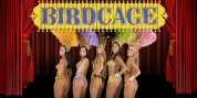 Birdcage Theatre font download