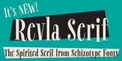 Revla Serif font download