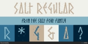 Salt font download